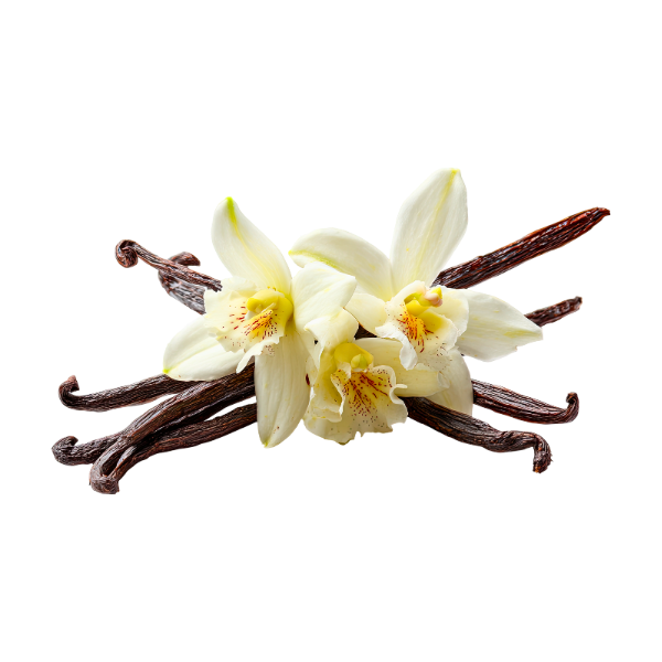 Vanilla