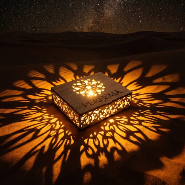 Night-mode_advertising_for_Perfuma._The_202606232133